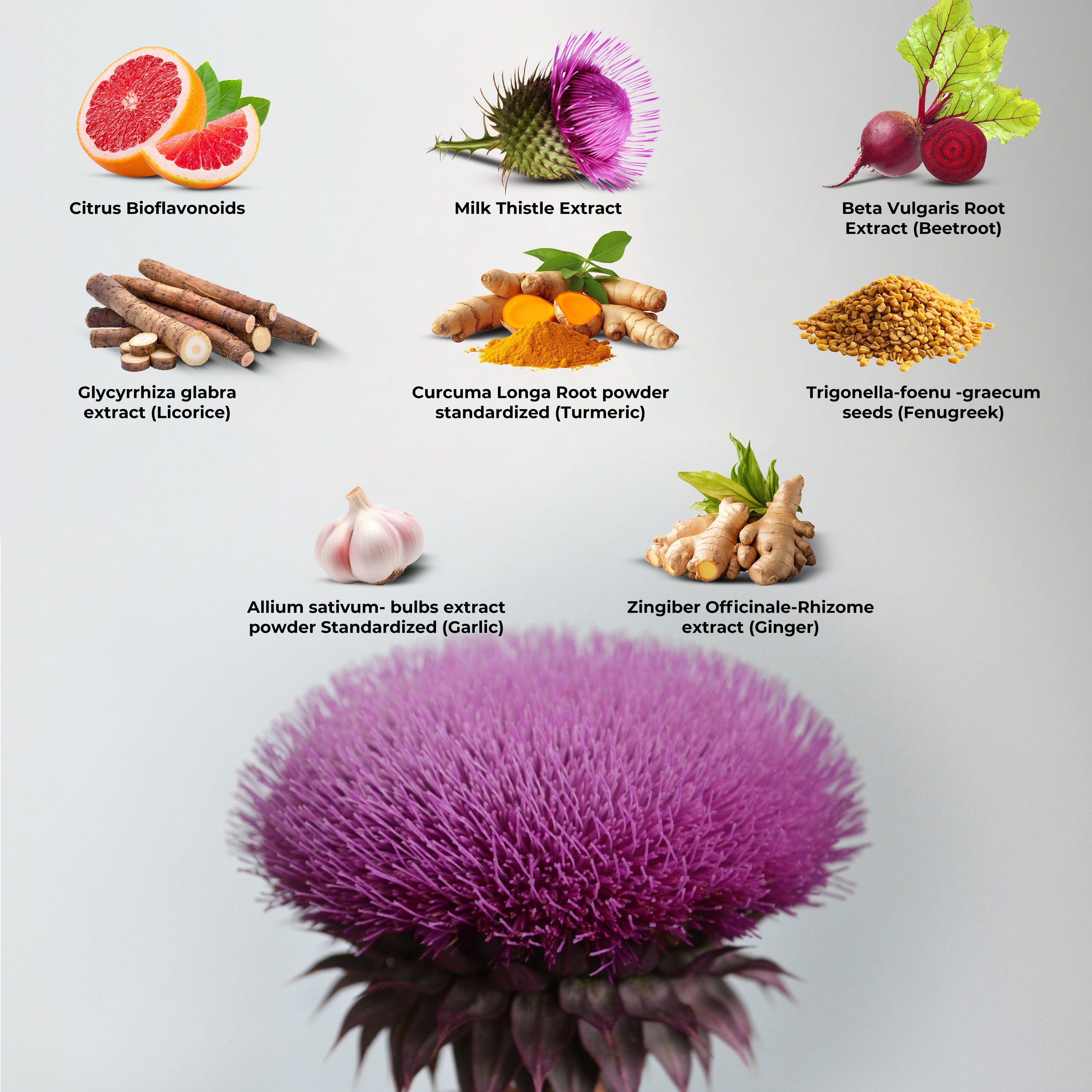 Health Veda Organics Milk Thistle 800 mg Supplement for Healthy Liver Function | Helps In Liver Detox -60 Vegetarian Tablets