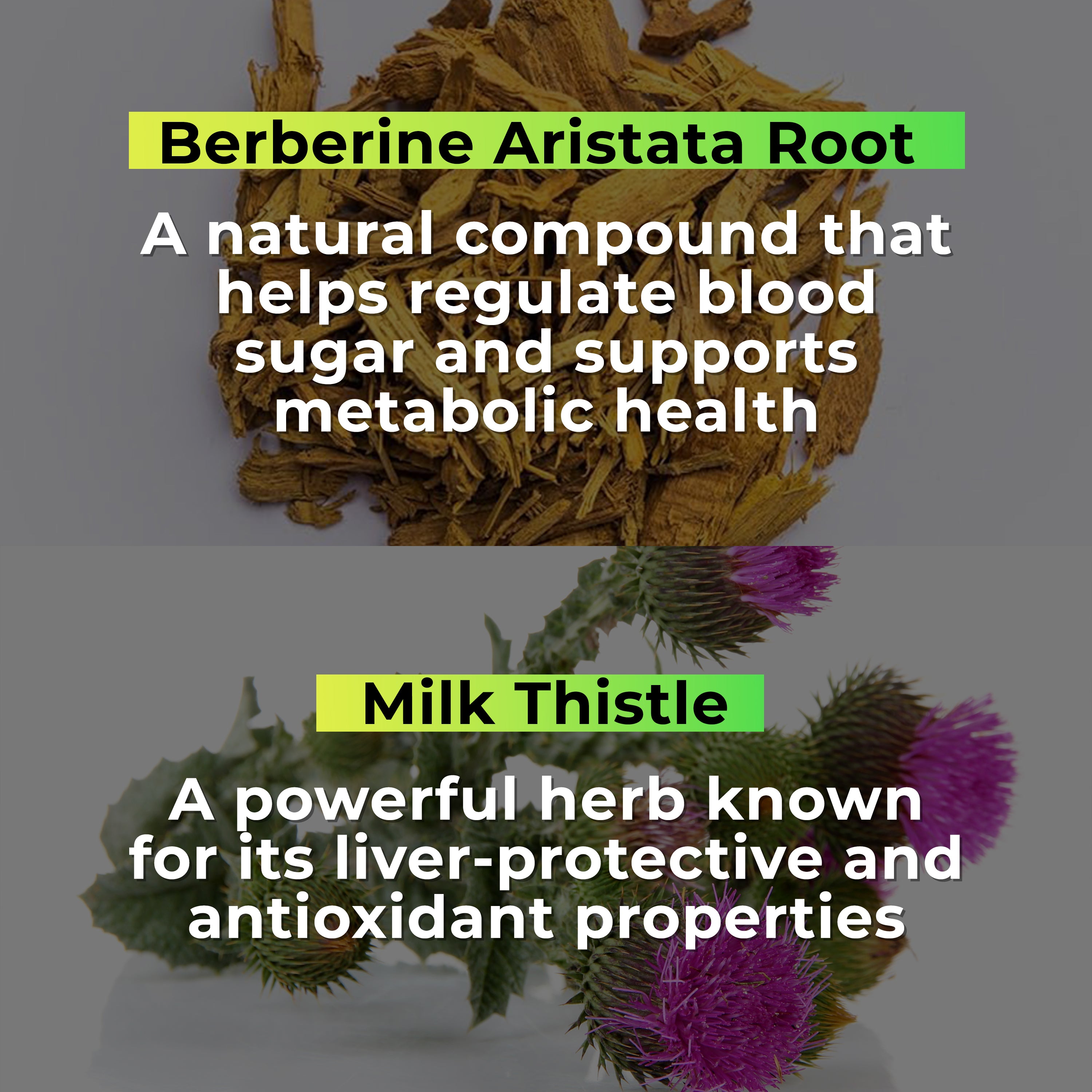 Health Veda Organics Berberis Aristata (98% Berberine) with Milk Thistle 60 Capsules Pack for Men and Women, Support Healthy Blood Glucose Level Support General Health, Help in Detoxification