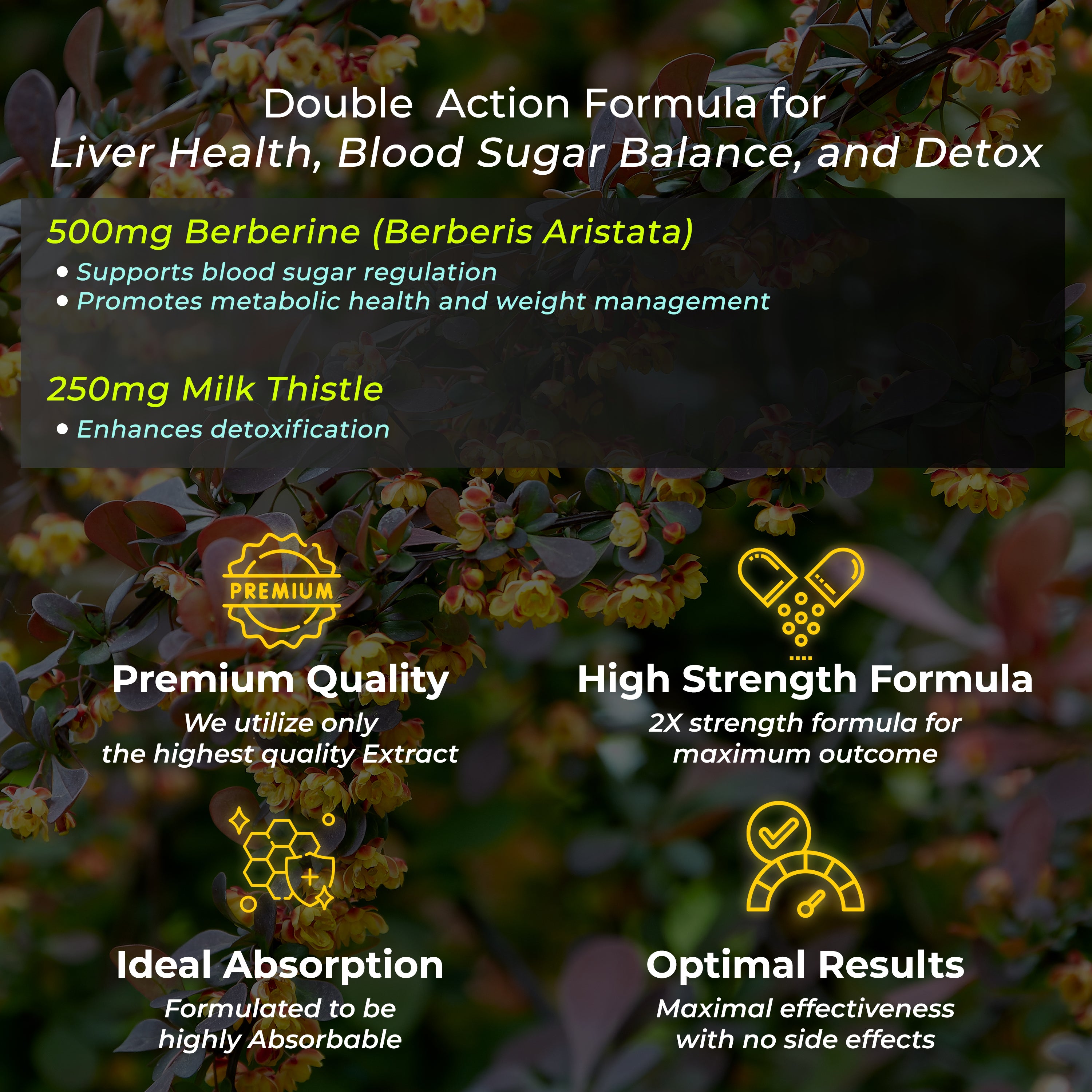 Health Veda Organics Berberis Aristata (98% Berberine) with Milk Thistle 60 Capsules Pack for Men and Women, Support Healthy Blood Glucose Level Support General Health, Help in Detoxification