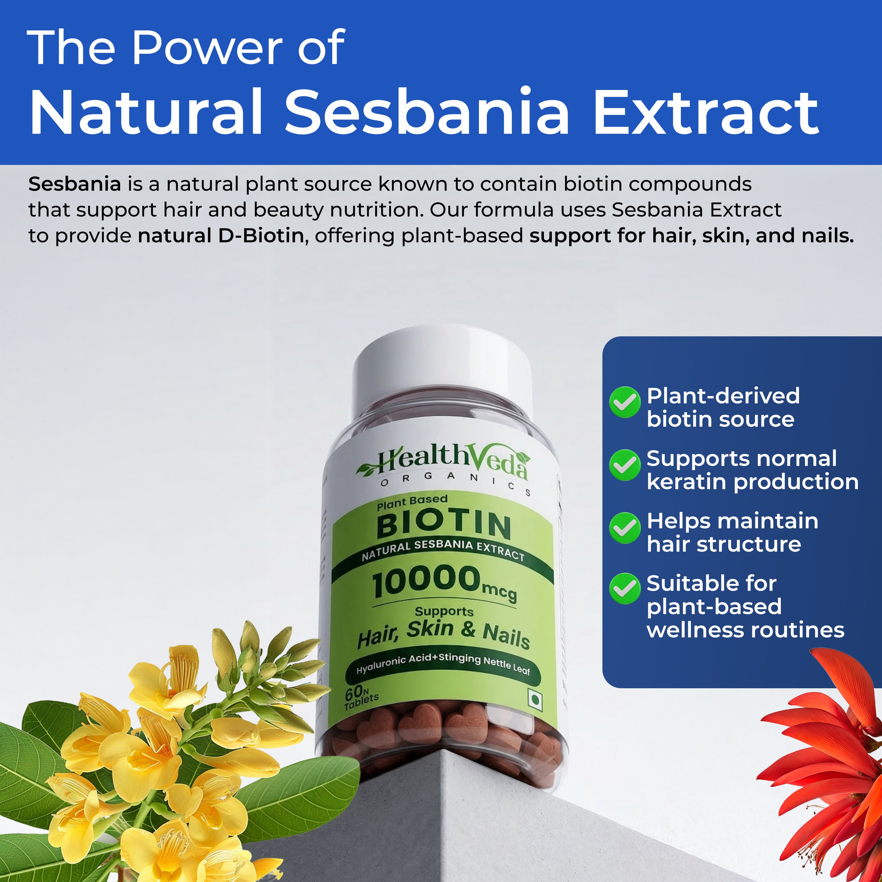 Health Veda Organics Biotin Tablets for Hair Growth | Biotin Supplement 10000mcg for Men & Women | Supports Hair, Skin & Nails | With Bhringraj, Stinging Nettle, Green Tea, Zinc & Vitamin E | 60 Tablets