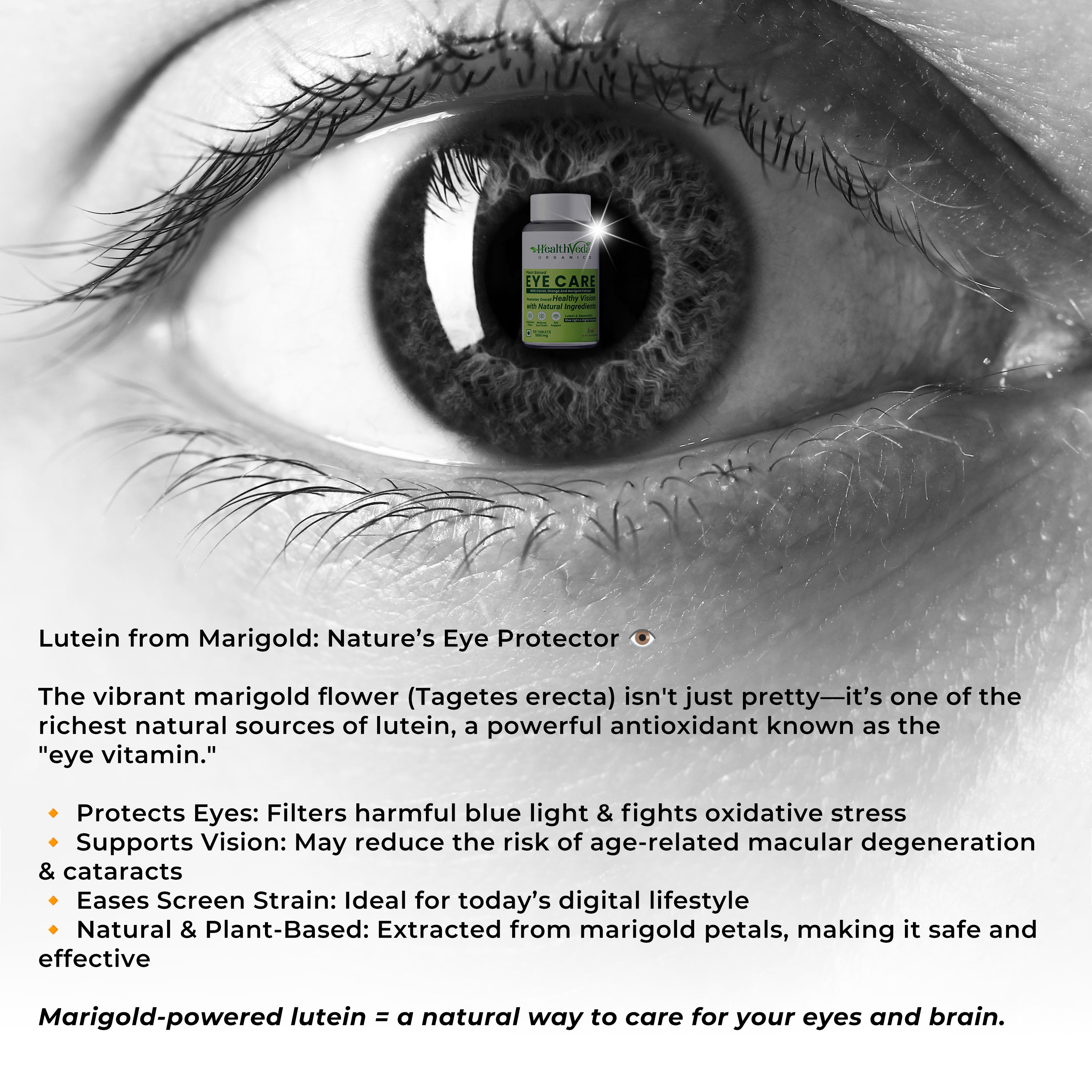 Health Veda Organics Eye Care 1000 mg Tablets Supports Vision & Enhances Retina - 60 Veg Tablets