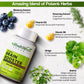 Health Veda Organics Plant Based Brain Booster with Ginkgo Biloba & Brahmi I 60 Veg Capsules I Boosts Concentration & Learning Activities