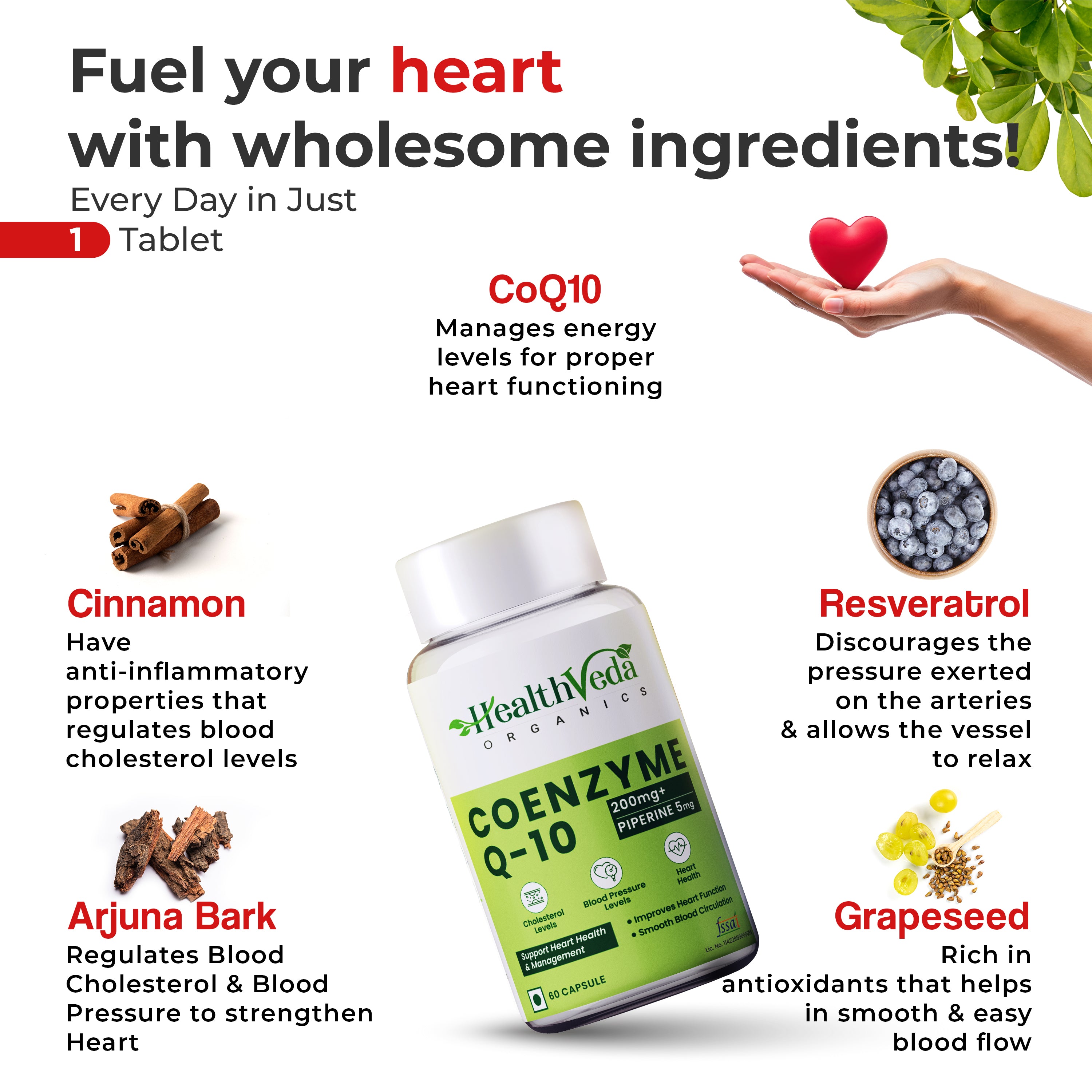 Health Veda Organics Coenzyme Q10 (CoQ10) 200mg with Piperine 5mg | Supports Heart Health and Vascular Health | 60 Capsules