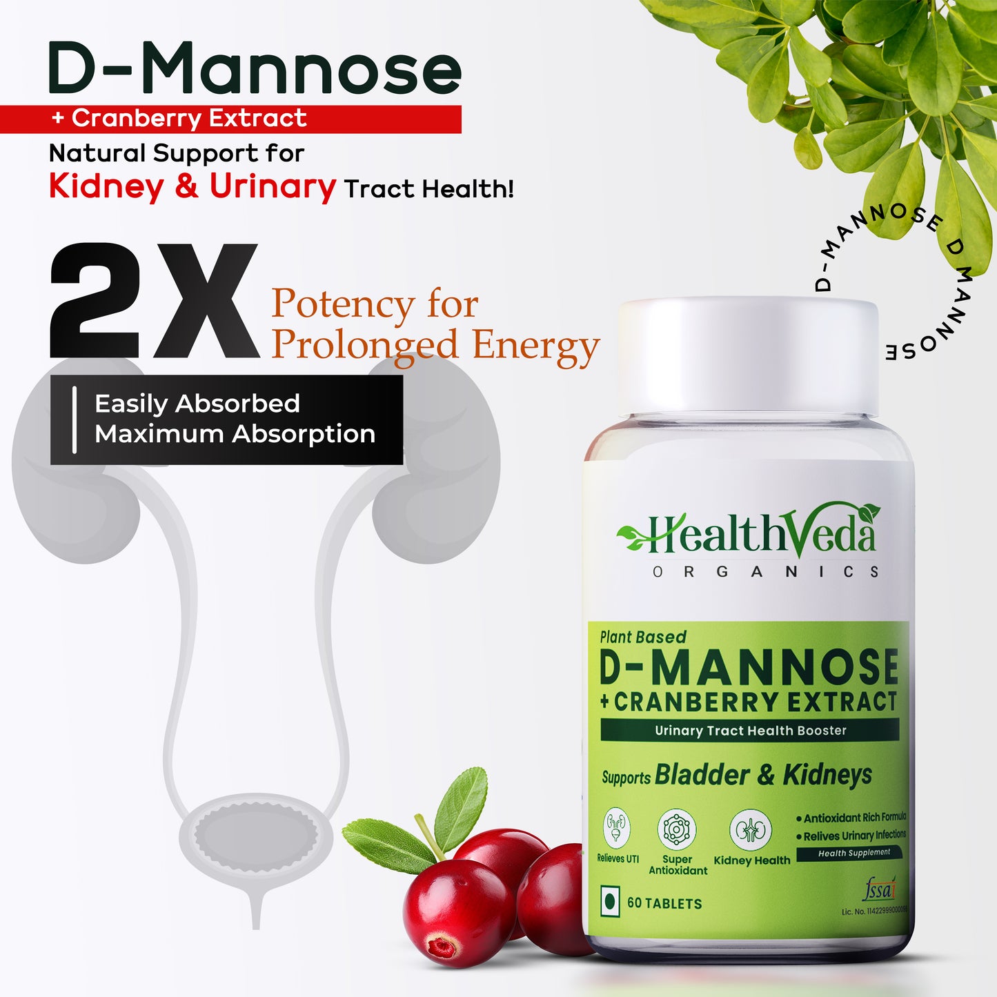 Health Veda Organics D-Mannose 500 mg + Cranberry Extract 200 mg for Kidney Health & Urinary Tract Infection - 60 Veg Tablets