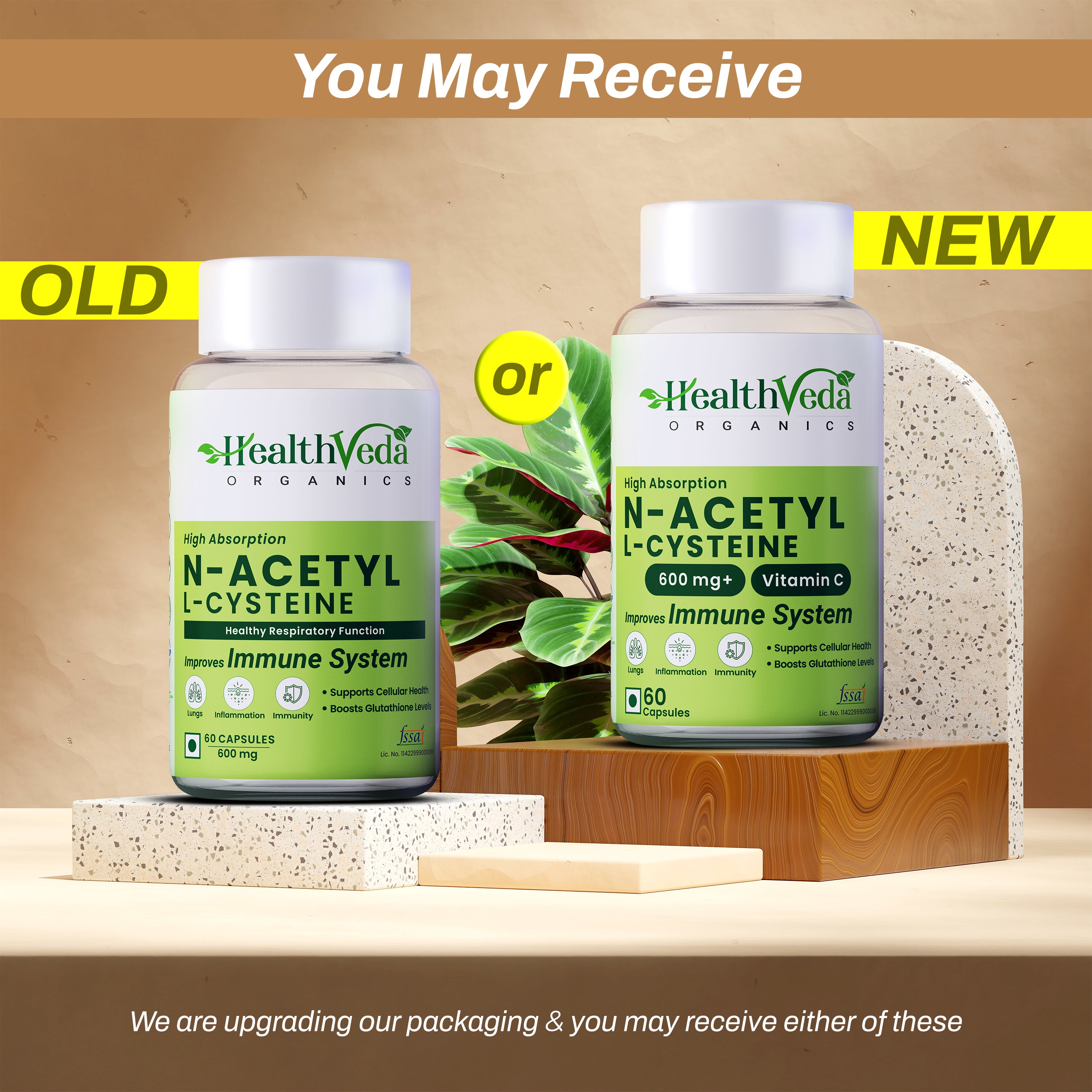 Health Veda Organics N - Acetyl L - Cysteine 500mg | 60 Veg Capsules | Lungs & Respiratory Support| Immune Health |For both Men & Women